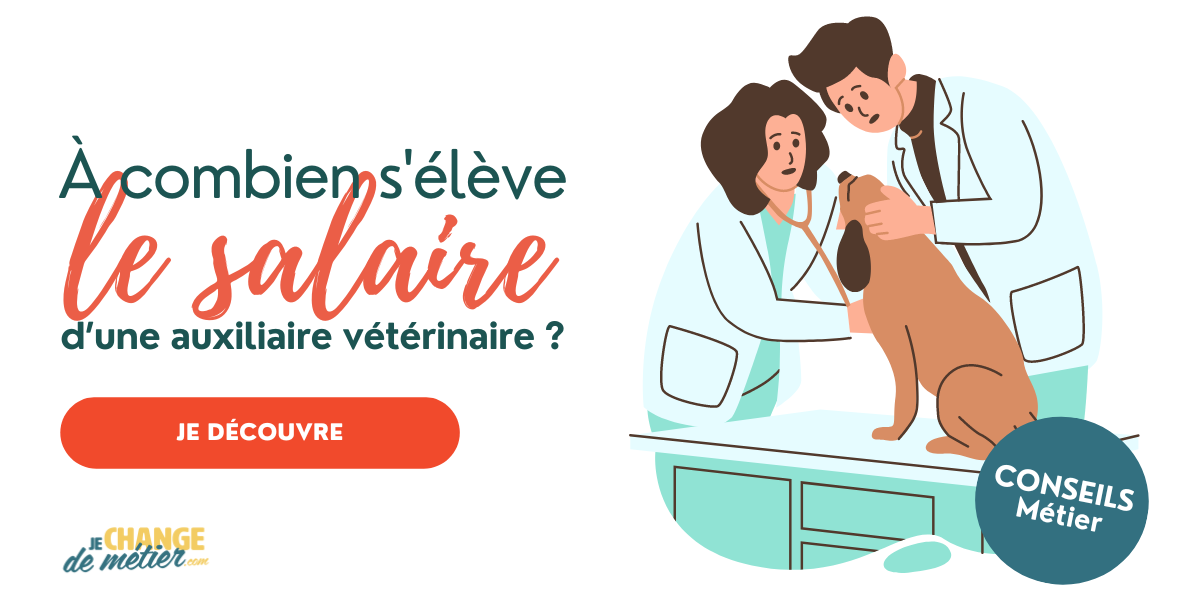 découvrez le salaire net de marion, vétérinaire exerçant à dijon, ainsi que les facteurs influençant sa rémunération dans le secteur vétérinaire local.